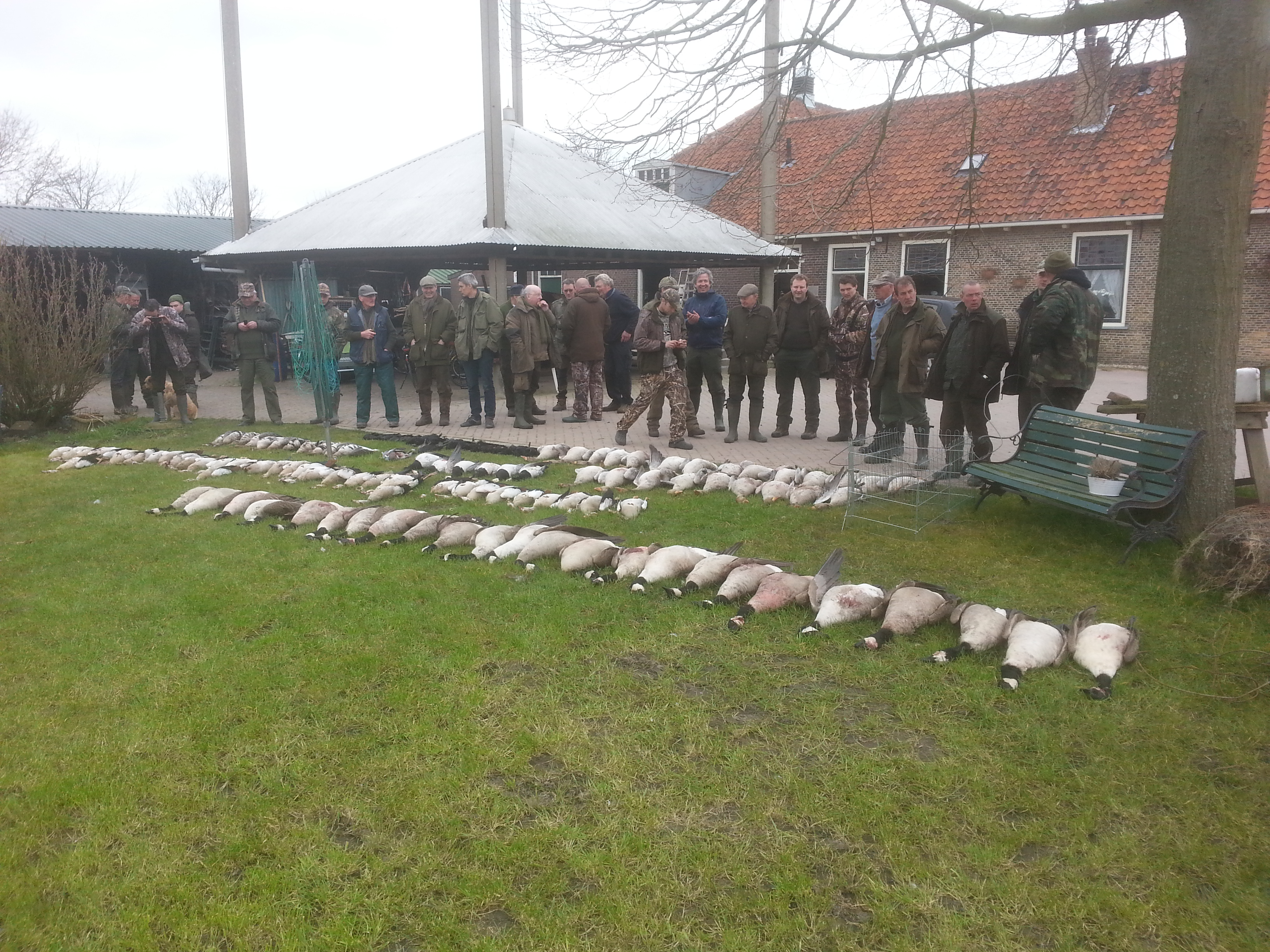 Schadebestrijding 2016