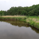 hondenwerk-20190519-101917.jpg